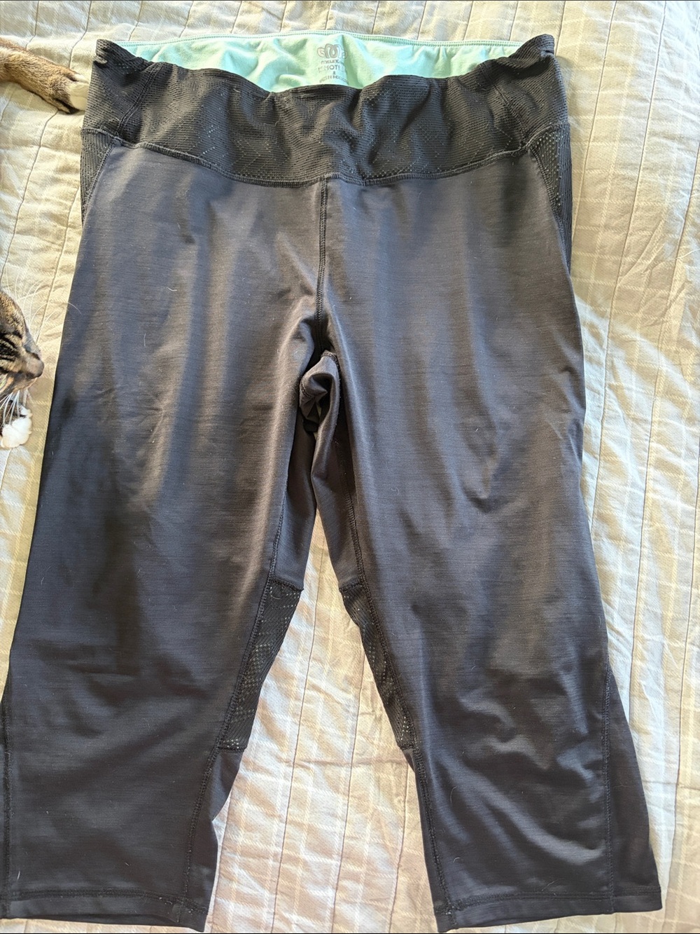 Maurices Black Capri leggings with Mint Waistband